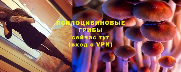 винт Зеленокумск