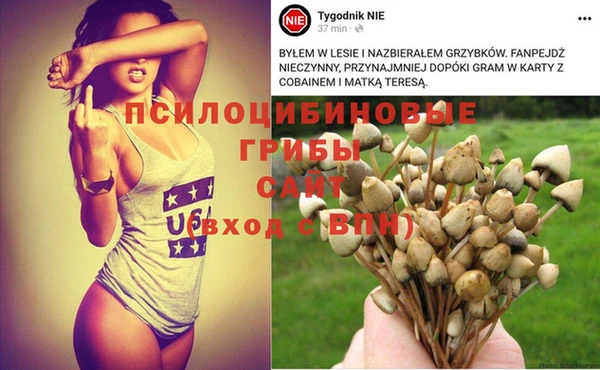 ALPHA-PVP Зеленодольск